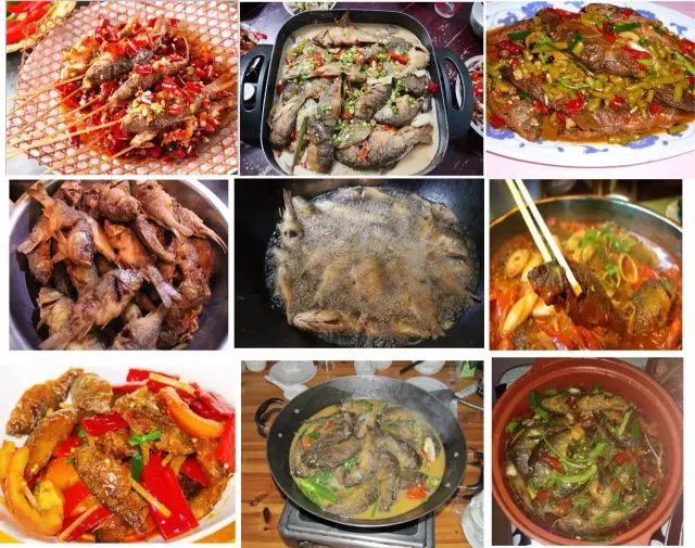 富硒大米什么时候开始吃(大米开始吃富硒时候吃什么)-硒宝网