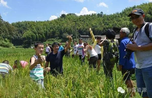 富硒大米什么时候开始吃(大米开始吃富硒时候吃什么)-硒宝网