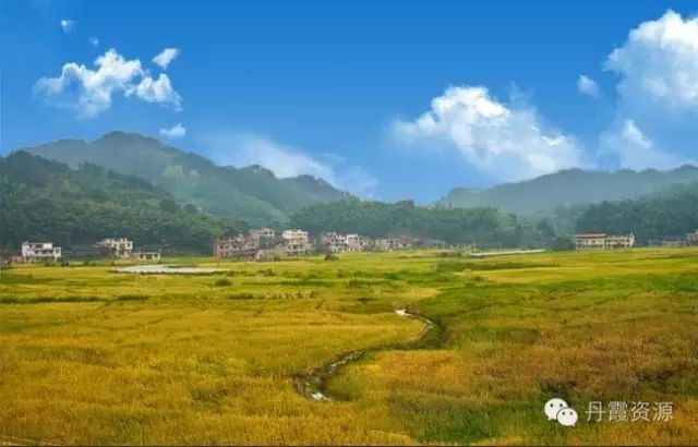 富硒大米什么时候开始吃(大米开始吃富硒时候吃什么)-硒宝网