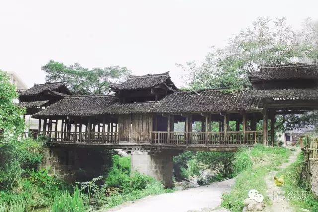 富硒大米什么时候开始吃(大米开始吃富硒时候吃什么)-硒宝网