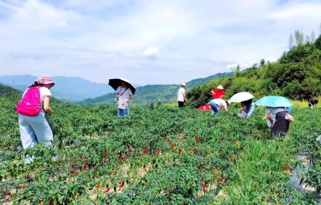 富硒有机大米的发展前景（富硒大米市场前景）-硒宝网