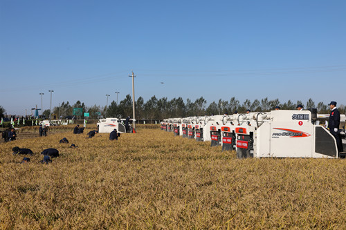 方正县富硒大米品牌介绍（方正富硒米多少钱一斤）-硒宝网
