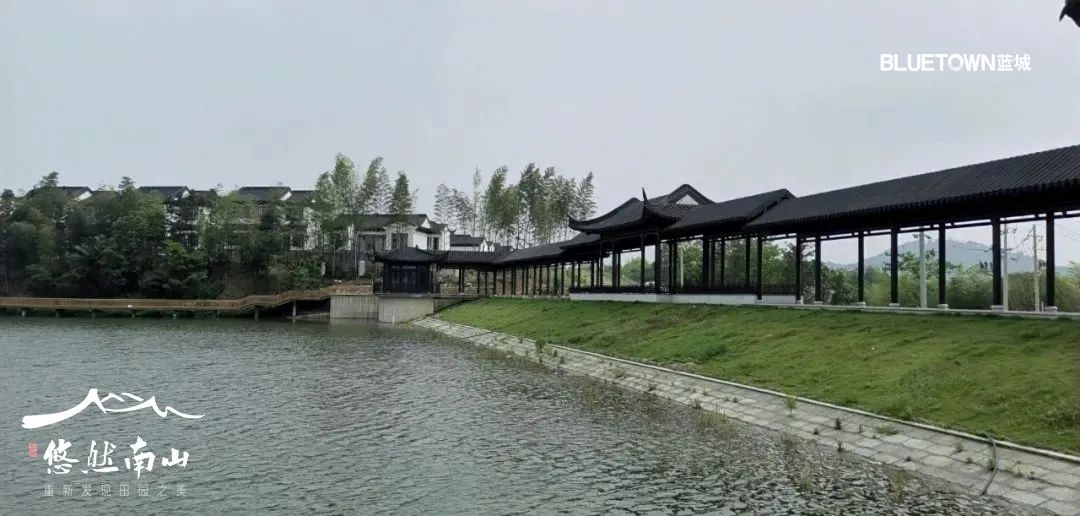 一亩好粮富硒零农残大米（据报道富硒大米有多种保健功能）-硒宝网