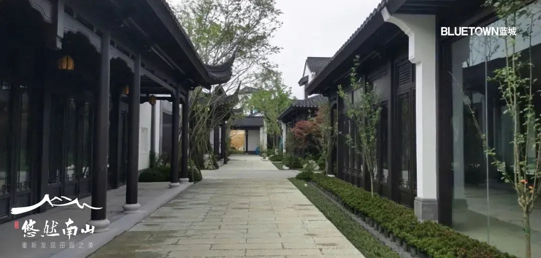 一亩好粮富硒零农残大米（据报道富硒大米有多种保健功能）-硒宝网