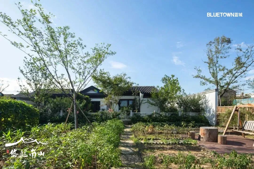 一亩好粮富硒零农残大米（据报道富硒大米有多种保健功能）-硒宝网