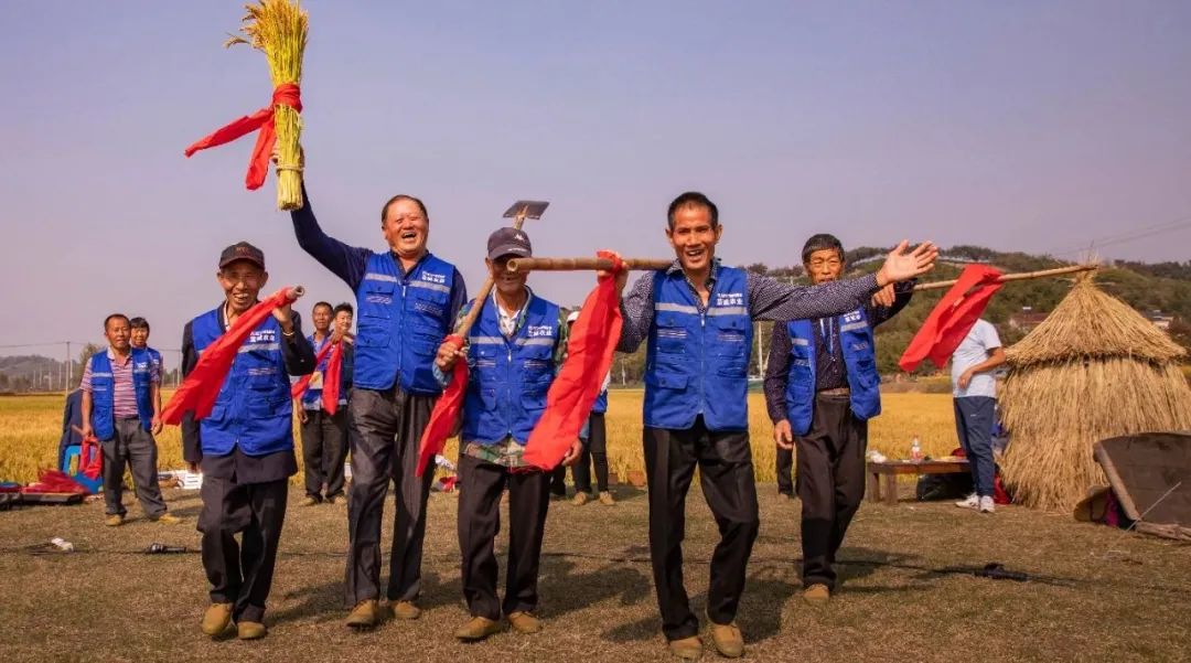 一亩好粮富硒零农残大米（据报道富硒大米有多种保健功能）-硒宝网