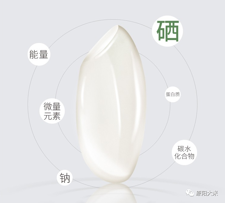 富硒大米如何看富硒含量(富硒大米含硒量多少)-硒宝网