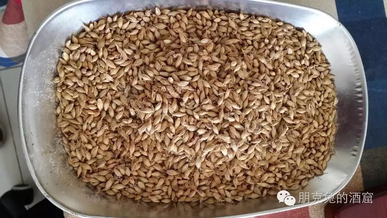 喝富硒牛奶和吃富硒大米(富硒大米可以随便吃吗)-硒宝网