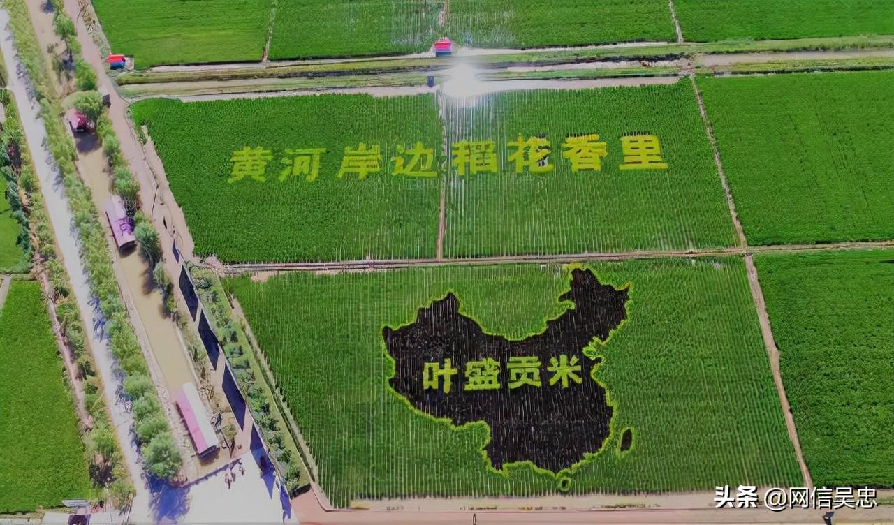 宁夏  富硒大米 企业（富硒大米厂家）-硒宝网