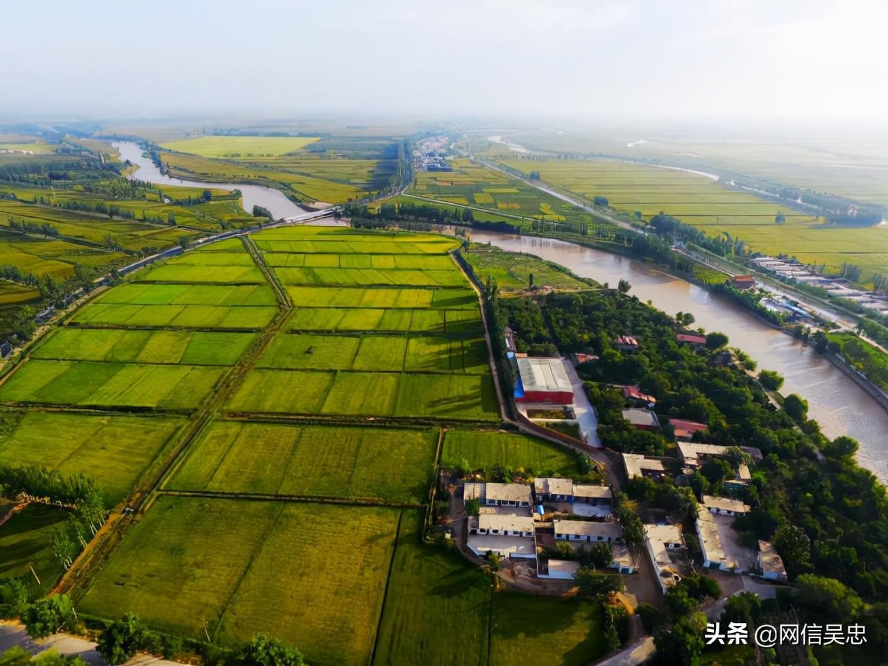 宁夏  富硒大米 企业（富硒大米厂家）-硒宝网