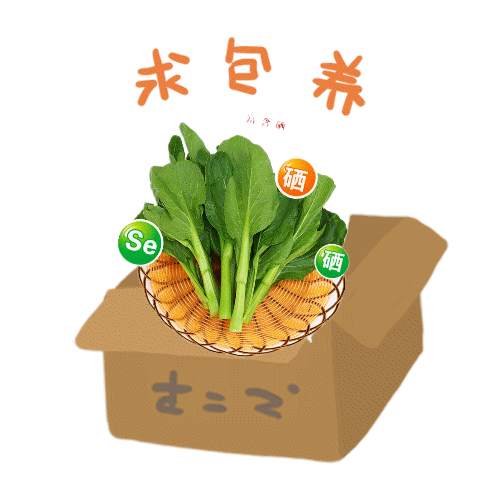 富硒大米是添加的硒元素（富硒大米中的硒指的是元素）-硒宝网