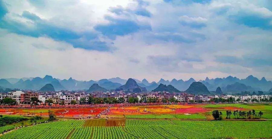 富硒大米是添加的硒元素（富硒大米中的硒指的是元素）-硒宝网