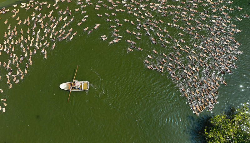 宜春富硒大米 温汤硒品(宜春硒米餐厅)-硒宝网