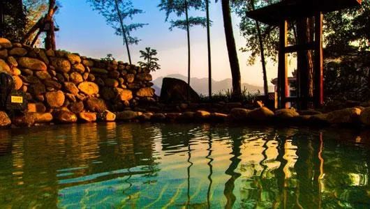 宜春富硒大米 温汤硒品（宜春含硒大米）-硒宝网