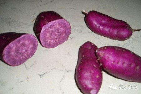 富硒大米是转基因大米吗（大米转基因好吗）-硒宝网