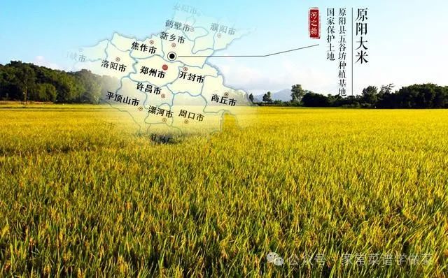 哈尔滨富硒大米产地土壤（黑龙江产的富硒大米哪里有卖）-硒宝网