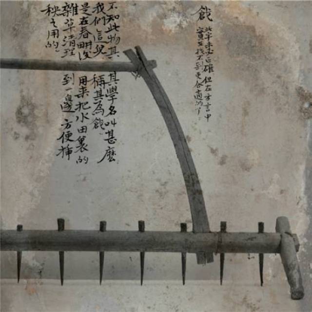 中硒米业辽河贡富硒大米(最好的富硒大米多少钱一斤)-硒宝网