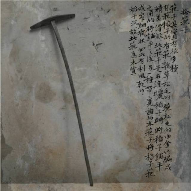 中硒米业辽河贡富硒大米(最好的富硒大米多少钱一斤)-硒宝网