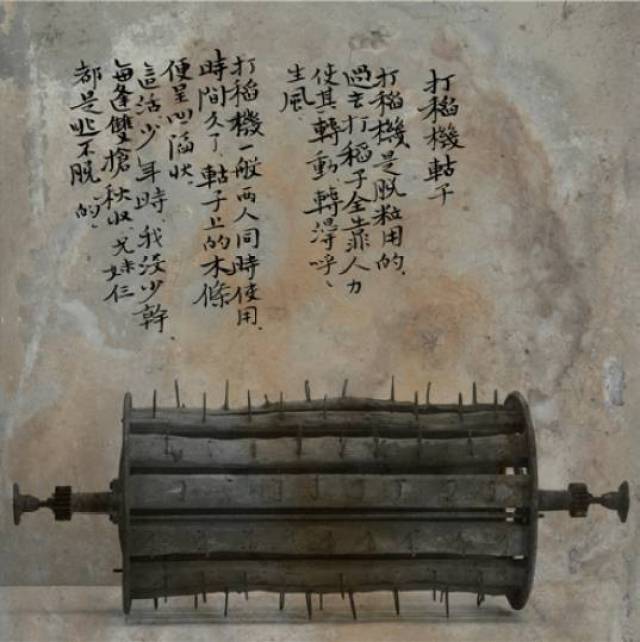 中硒米业辽河贡富硒大米(最好的富硒大米多少钱一斤)-硒宝网