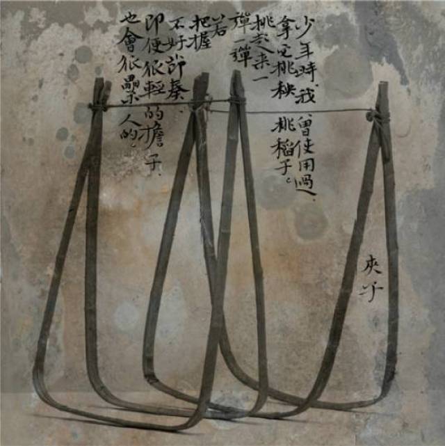 中硒米业辽河贡富硒大米(最好的富硒大米多少钱一斤)-硒宝网