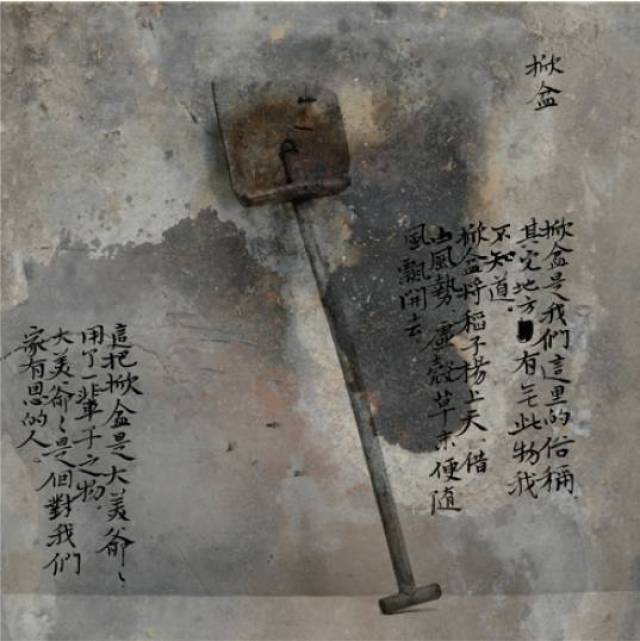 中硒米业辽河贡富硒大米(最好的富硒大米多少钱一斤)-硒宝网