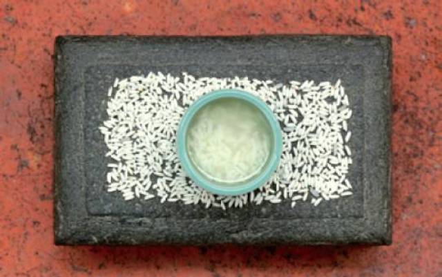 中硒米业辽河贡富硒大米(最好的富硒大米多少钱一斤)-硒宝网