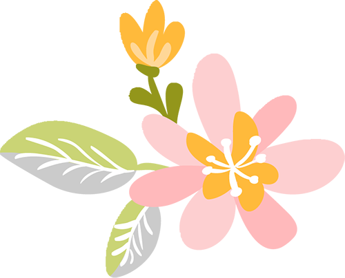 十八洞土司王朝富硒大米(十八洞土司王朝富硒大米)-硒宝网