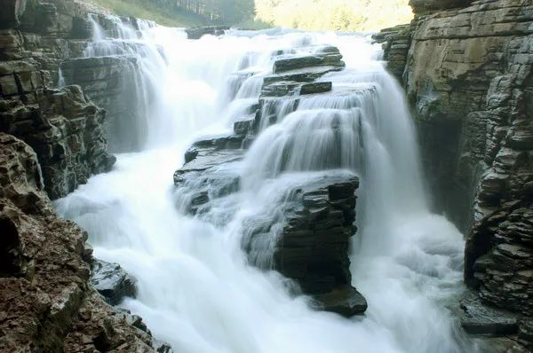 十八洞土司王朝富硒大米(十八洞土司王朝富硒大米)-硒宝网