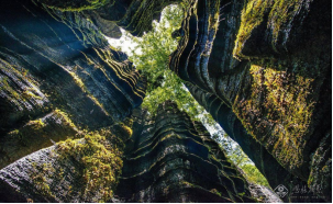 十八洞土司王朝富硒大米(十八洞土司王朝富硒大米)-硒宝网