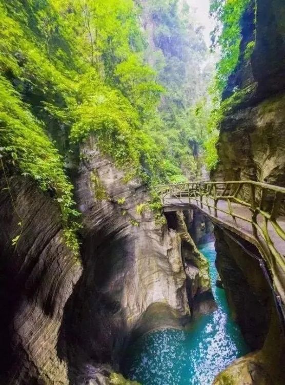 十八洞土司王朝富硒大米(十八洞土司王朝富硒大米)-硒宝网