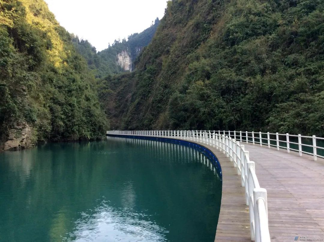 十八洞土司王朝富硒大米(十八洞土司王朝富硒大米)-硒宝网