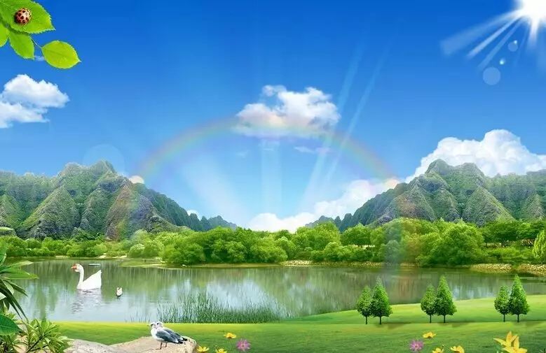 全国哪里的富硒大米最好(富硒大米排行)-硒宝网