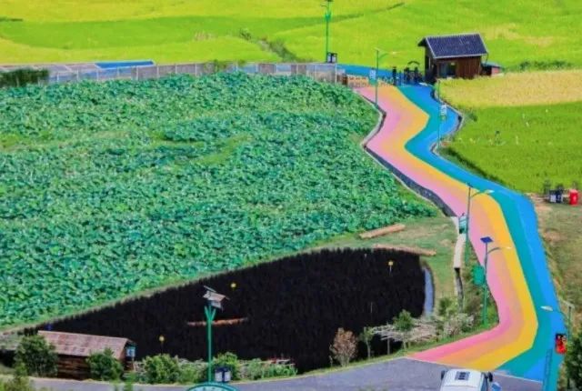 江西富硒大米基地有哪些(江西富硒米的好处)-硒宝网