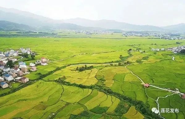 江西富硒大米基地有哪些(江西富硒米的好处)-硒宝网