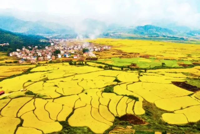 江西富硒大米基地有哪些(江西富硒米的好处)-硒宝网