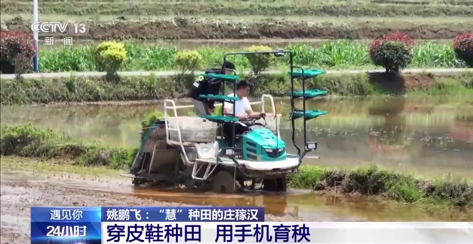 长沙有机富硒大米的丰收（富硒大米生产技术）-硒宝网