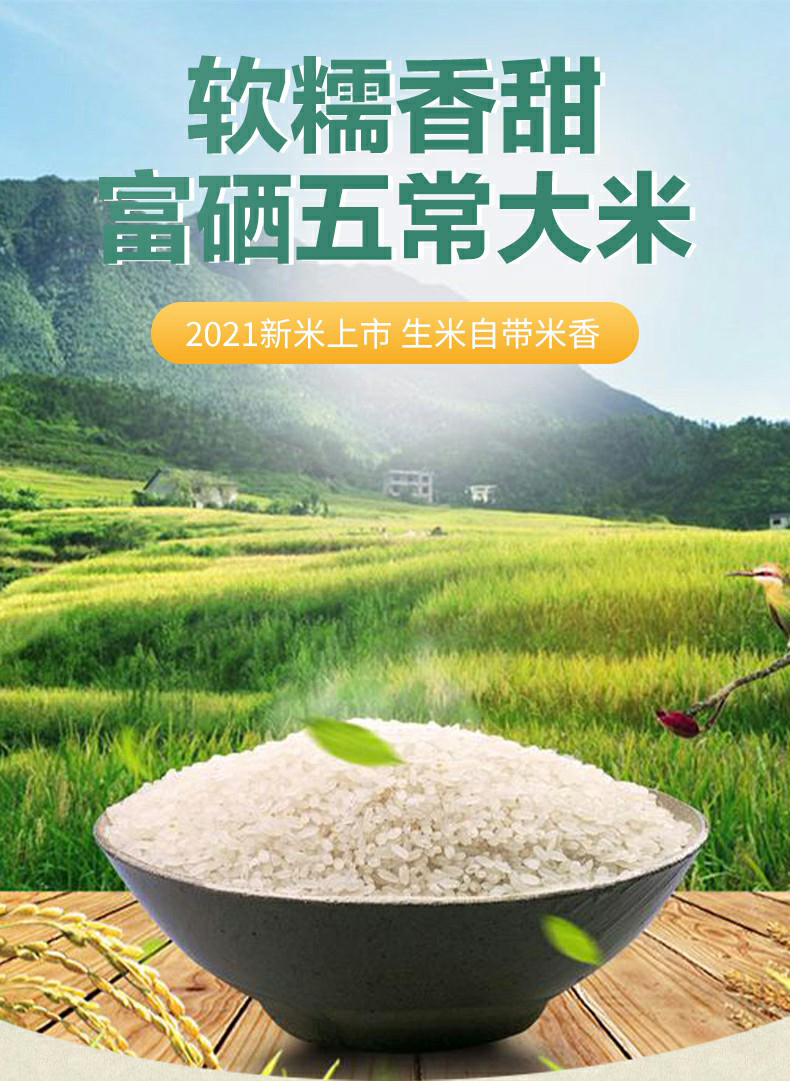 秋田富硒大米产地在哪里（富硒大米哪个牌子好）-硒宝网