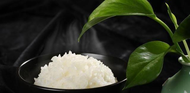 秋田富硒大米产地在哪里(秋田大米是哪里的)-硒宝网