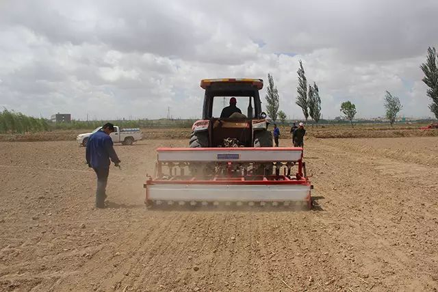 北京如何淘有机富硒大米(富硒大米基地)-硒宝网