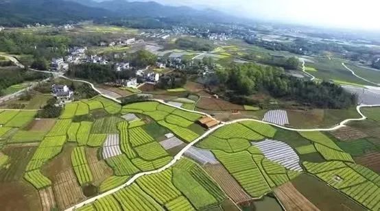 富硒粮仓大米是不是糯米（富硒糯米哪里产的）-硒宝网