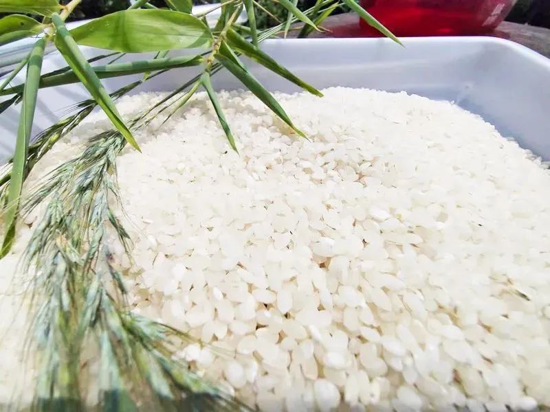 富硒粮仓大米是不是糯米（富硒糯米哪里产的）-硒宝网