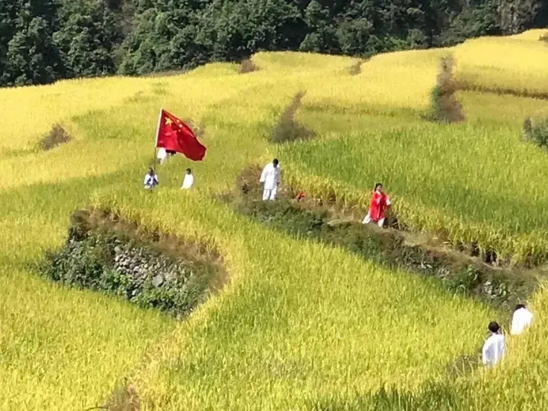 富硒粮仓大米是不是糯米（富硒糯米哪里产的）-硒宝网