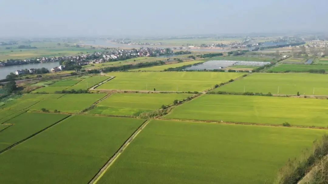 富硒粮仓大米是不是糯米（富硒糯米哪里产的）-硒宝网