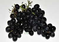 广西巴马富硒之乡香大米（巴马富硒米多少钱一斤）-硒宝网