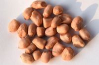 广西巴马富硒之乡香大米（巴马富硒米多少钱一斤）-硒宝网