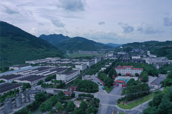 富硒大米品牌命名规则是(富硒大米logo)-硒宝网