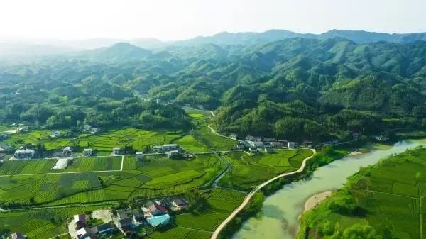 哪儿盛产富硒大米呢视频(富硒大米市场前景)-硒宝网