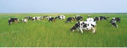 海伦哪个乡镇产富硒大米（海伦市硒谷米业）-硒宝网