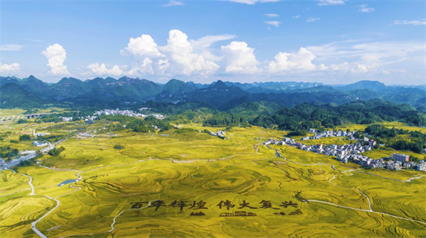 广西巴马富硒大米的营养（广西巴马富硒红米）-硒宝网