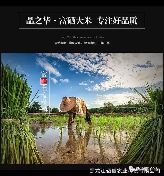 人工富硒大米之父是谁呀(富硒大米生产技术)-硒宝网